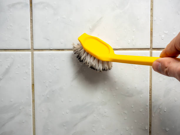 Home Mold Removal in Wayland, MI