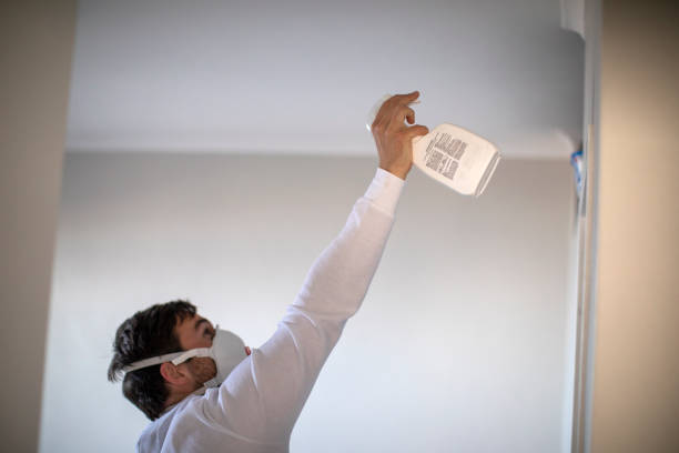 Best Toxic Mold Removal  in Wayland, MI